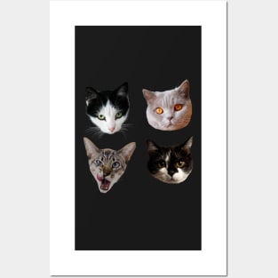 Cute Kitties Sticker-pack Posters and Art